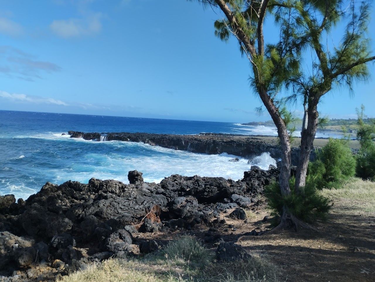Golden sand and leaning coconut palms between black basalt cliffs at Grande Anse beach in southern Reunion