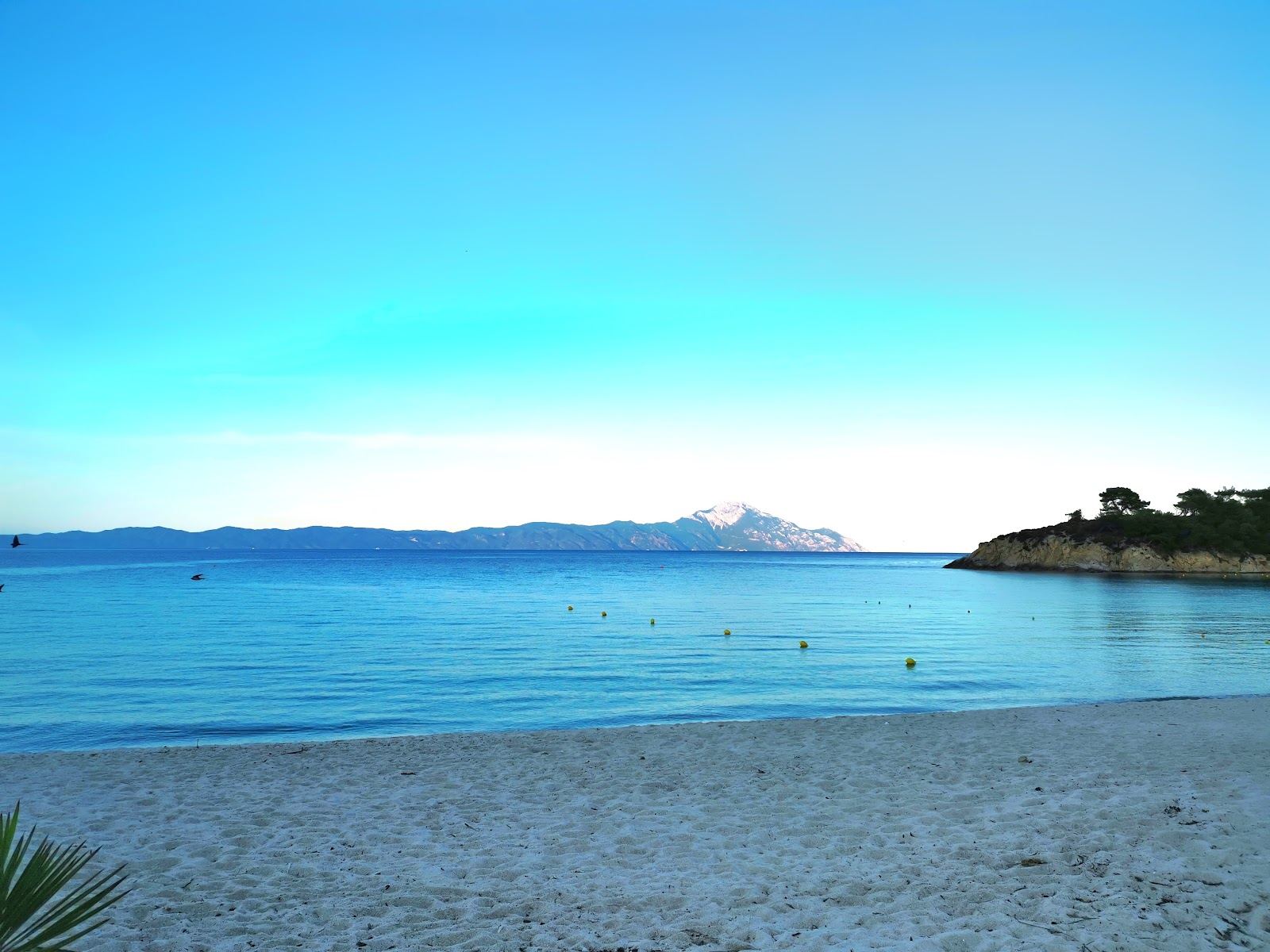 Clear turquoise water in a pine framed cove with a view to Mount Athos at Platanitsi beach near Sarti on Sithonia in Halkidiki