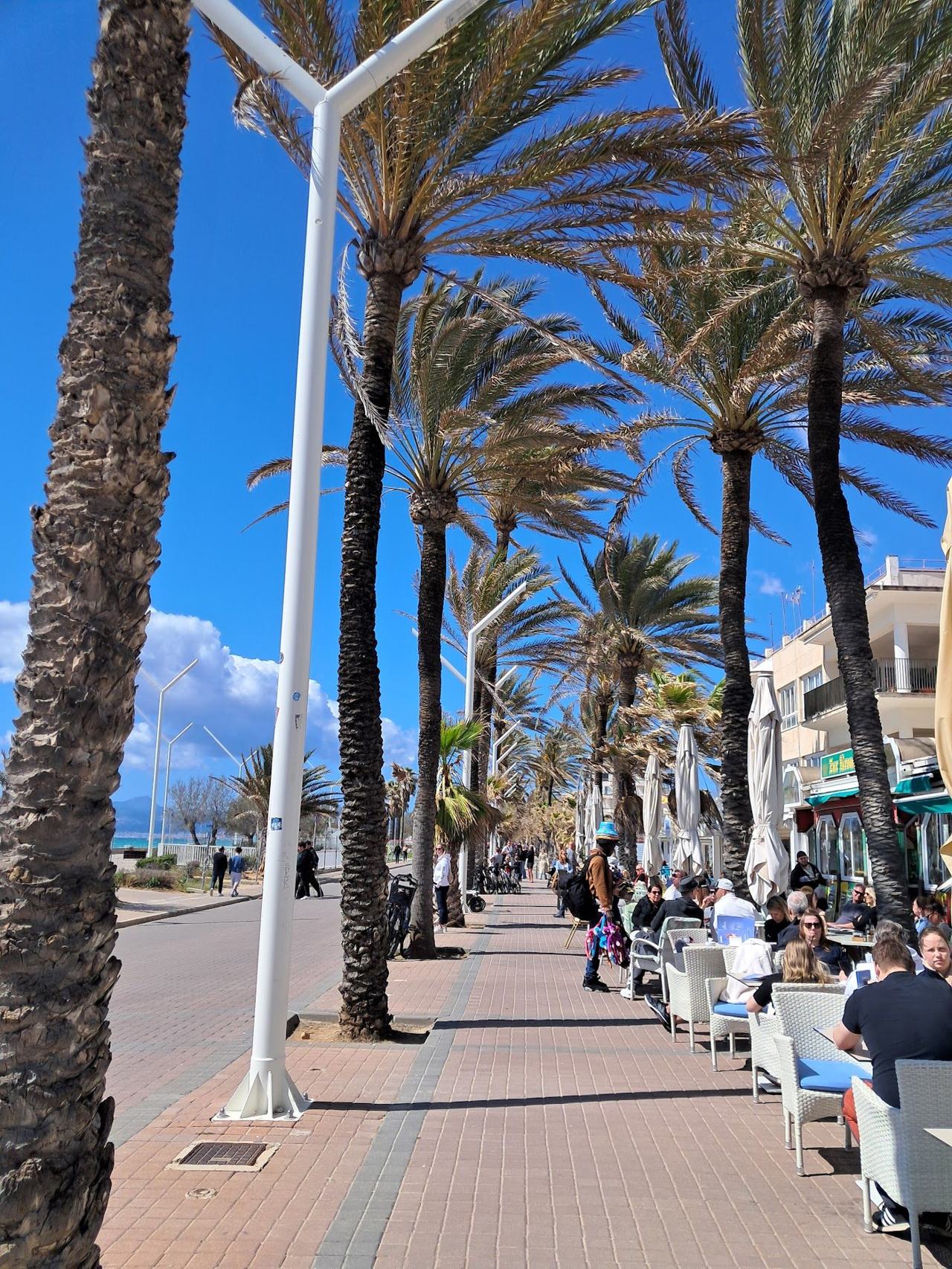 playa de palma in