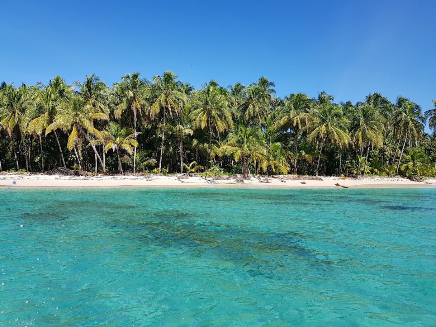 Leaning palms over bright soft sand and calm clear water on a Zapatilla cay in the Bastimentos marine park Panama