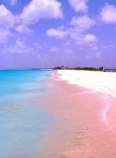 Soft rose tinted sand meeting clear turquoise water on a tropical pink beach