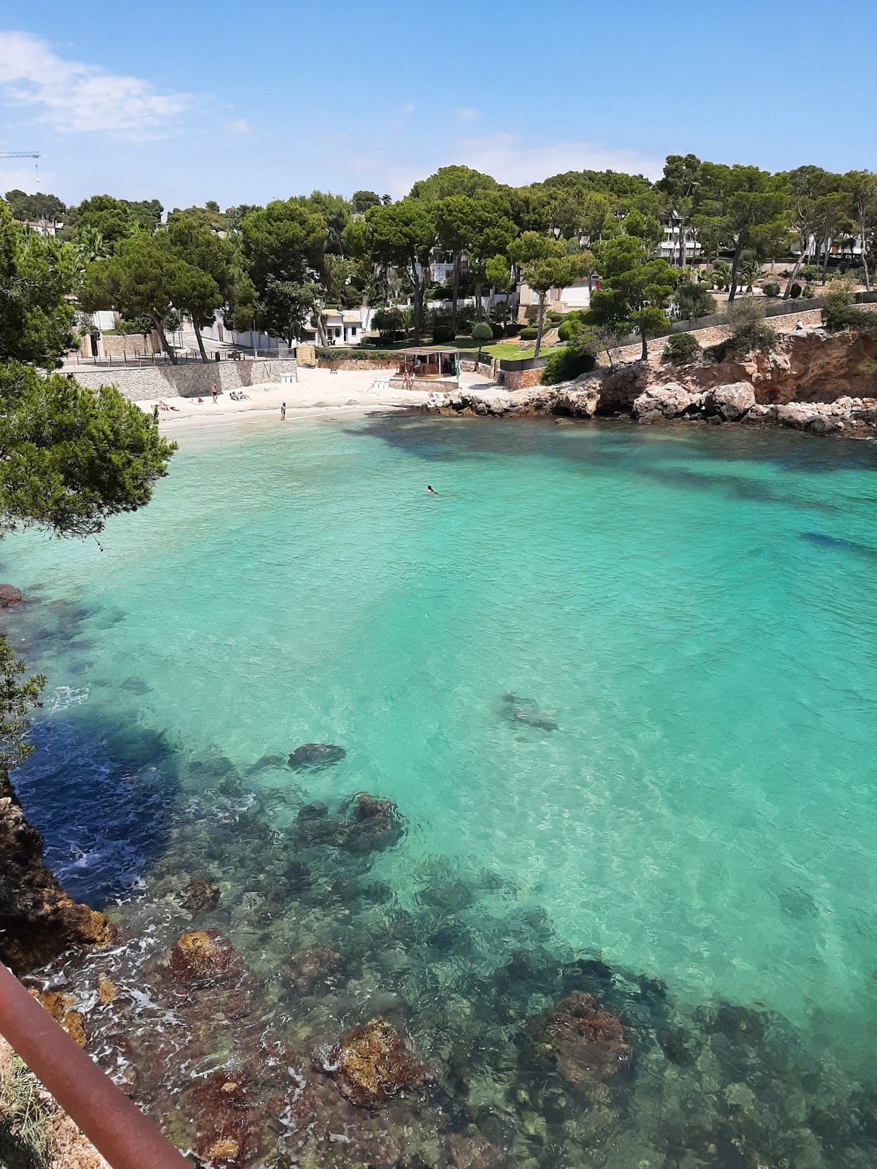 Calm shallow water and golden sand framed by a tiny islet at Portals Nous near Puerto Portals in Mallorca