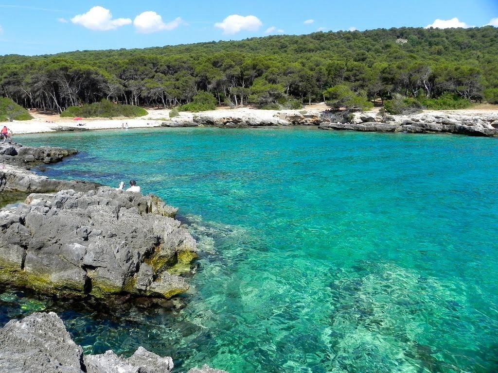 Clear deep water and rocky shore backed by pine forest at Porto Selvaggio near Nardo, Puglia