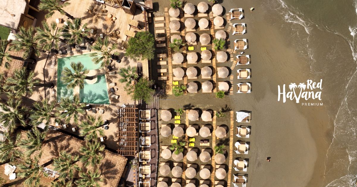 Cabanas and sunbeds under the palm grove at Red Havana on Agia Marina beach in Crete