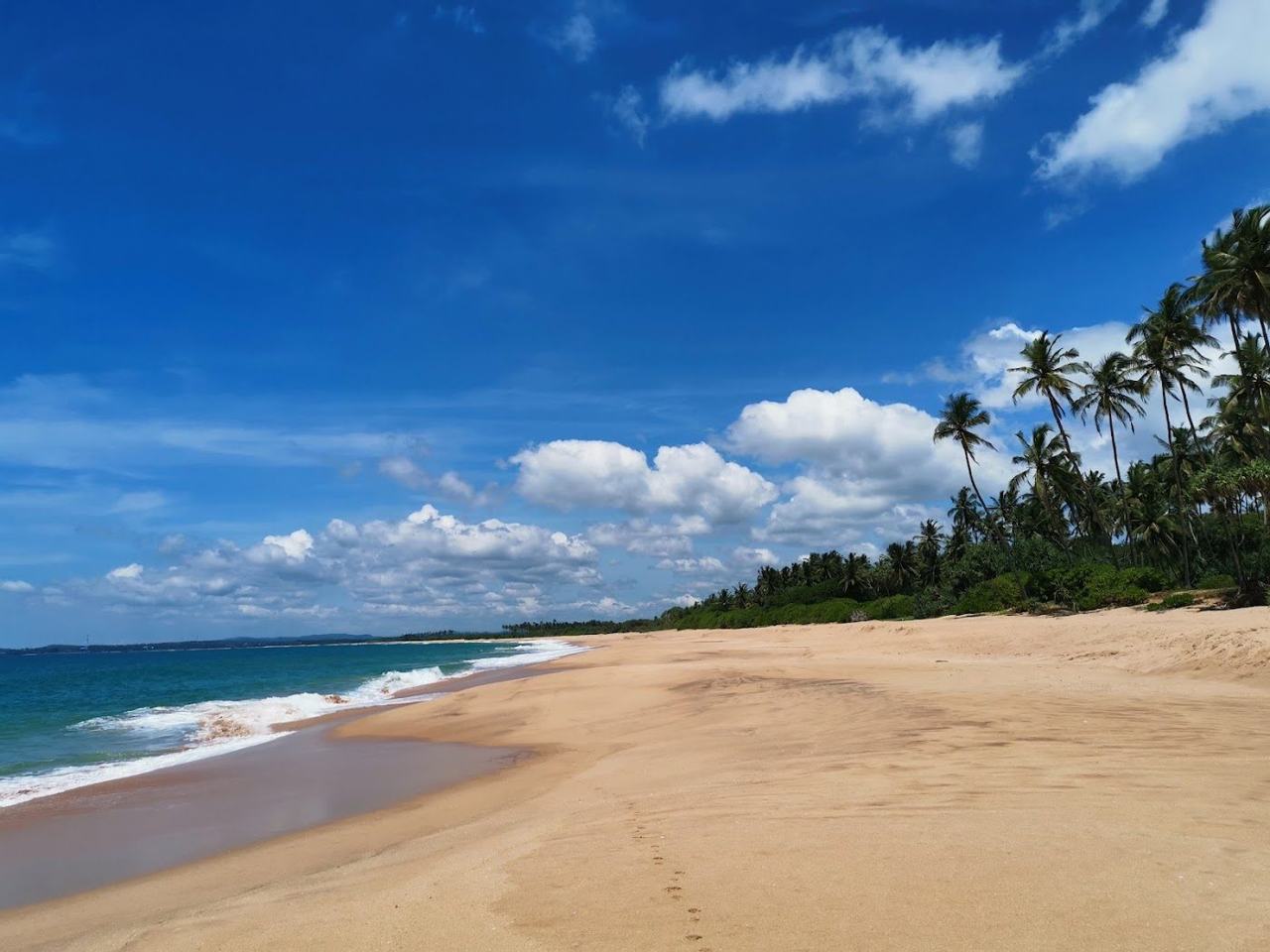 Rekawa Beach wild protected turtle nesting sand near Tangalle on the Sri Lanka south coast