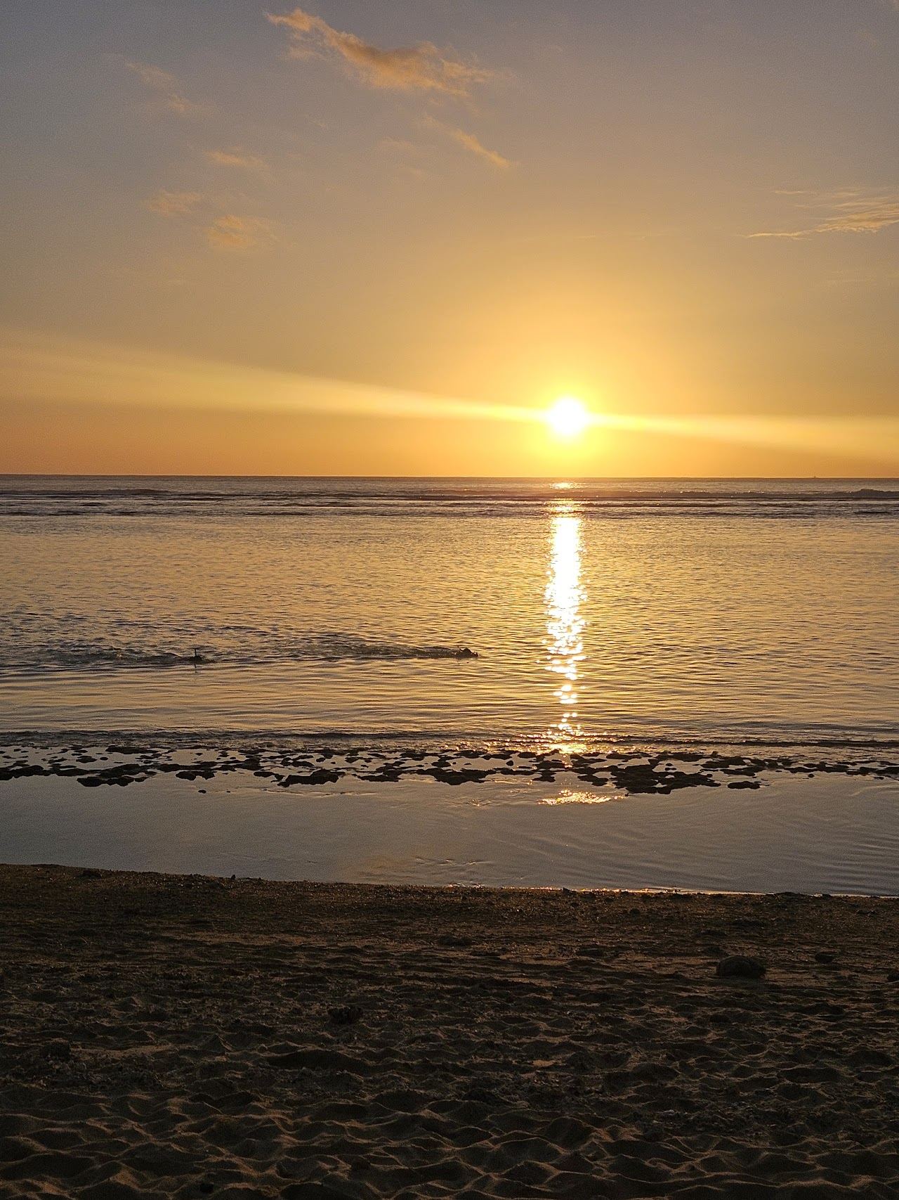 Warm evening light over the reef lagoon and filao pines at L'Hermitage on the west coast of Reunion