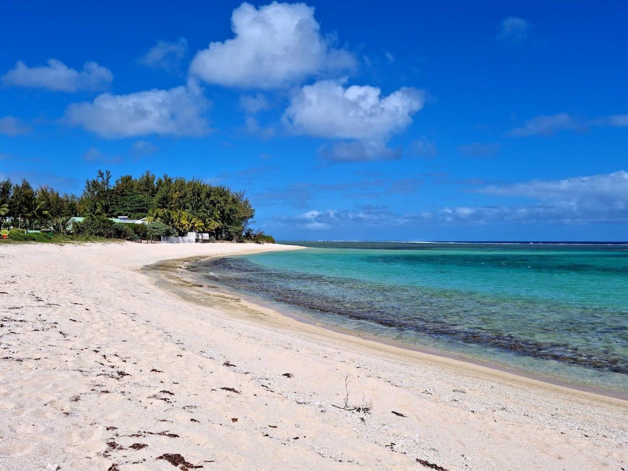 A second view of the casuarina lined shore at Riambel in southern Mauritius