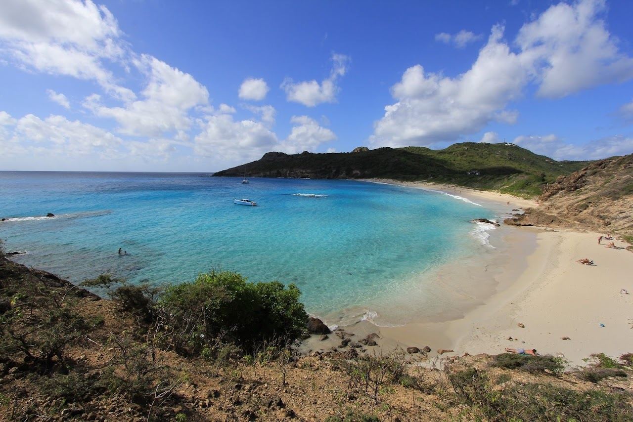 The low green dune and golden sand backing the wild bay of Anse de Grande Saline on St Barths
