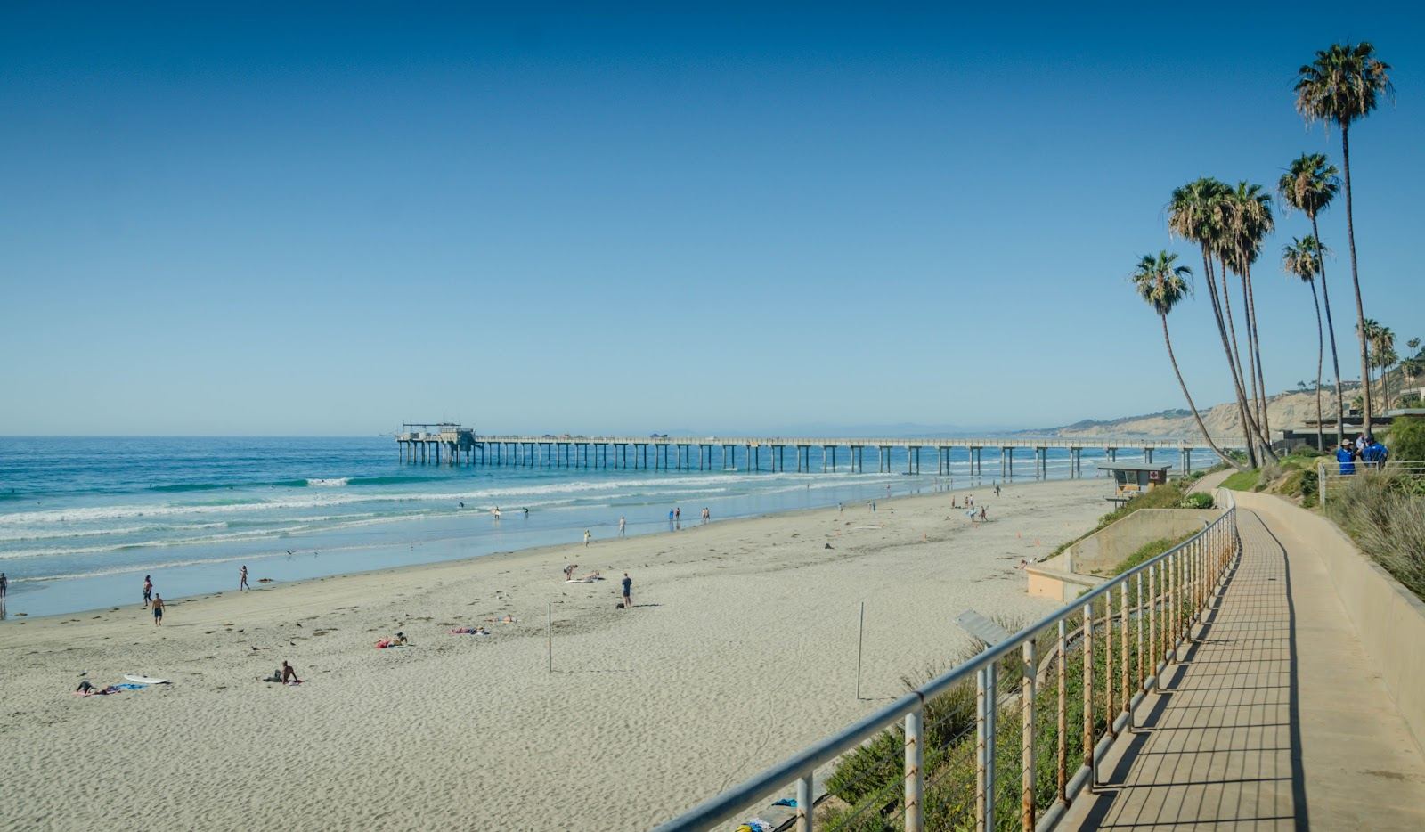 Paddlers and surfers in the gentle water at La Jolla Shores in San Diego with the cliffs beyond