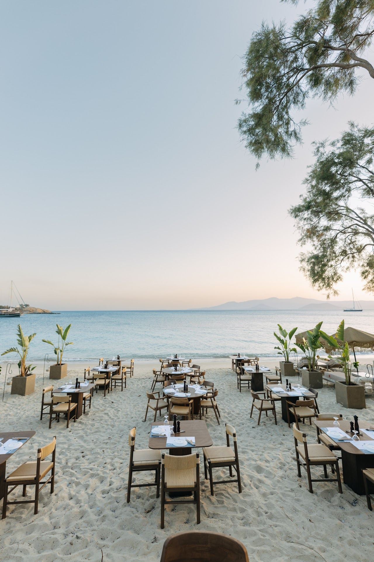 Sunbeds and umbrellas on the sand in front of Santana Beach Club at Agia Anna, Naxos