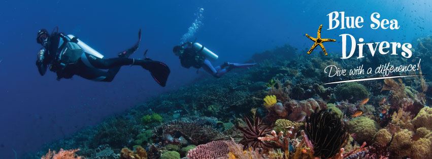 Granite boulders and clear water over a reef in the Seychelles