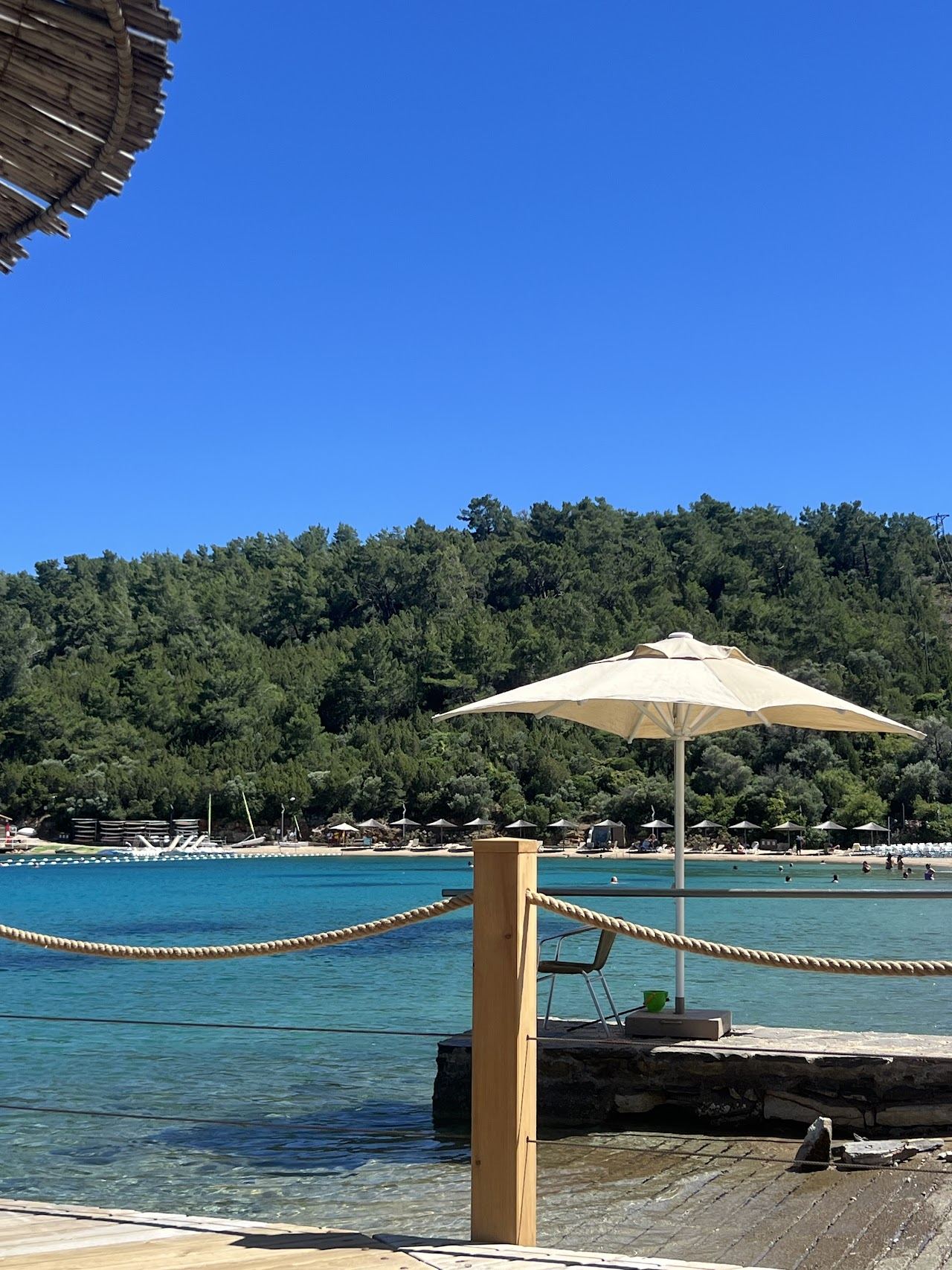 Sheltered bay and sandy beach backed by pine forest at Sea Garden Bodrum in Yaliciftlik