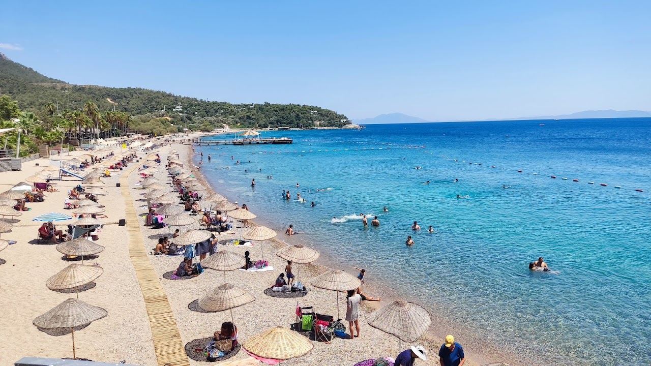 Calm sheltered bay water and pine covered hills near Yaliciftlik on the Bodrum peninsula