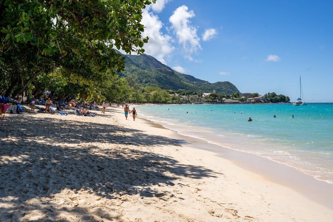 Calm shallow water and palm shade at Beau Vallon beach on Mahe in the Seychelles