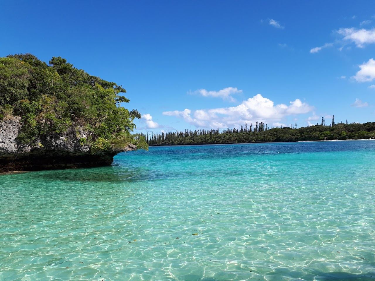 Pine trees and a turquoise lagoon at the Isle of Pines in New Caledonia