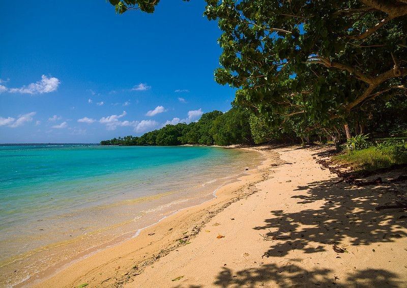 The white sand and blue water of Champagne Beach on Espiritu Santo in Vanuatu
