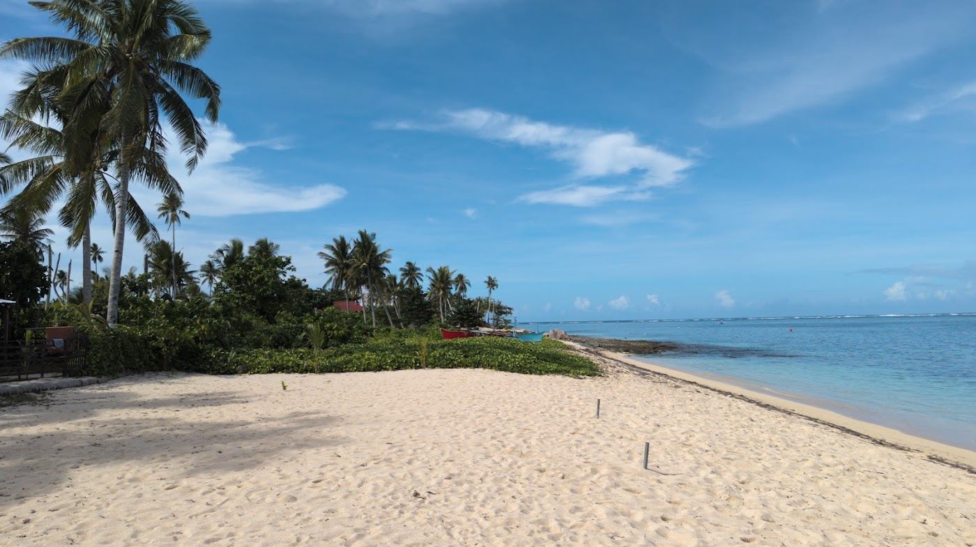 Golden evening light over a palm fringed Siargao shoreline