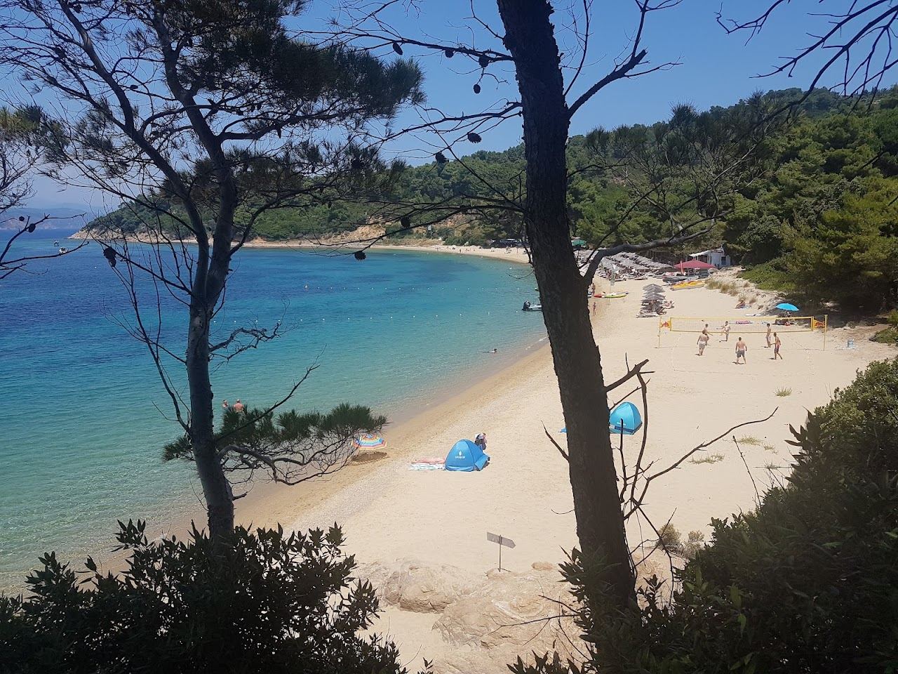 The golden sand and west facing sunset water of Agia Eleni Beach in Skiathos