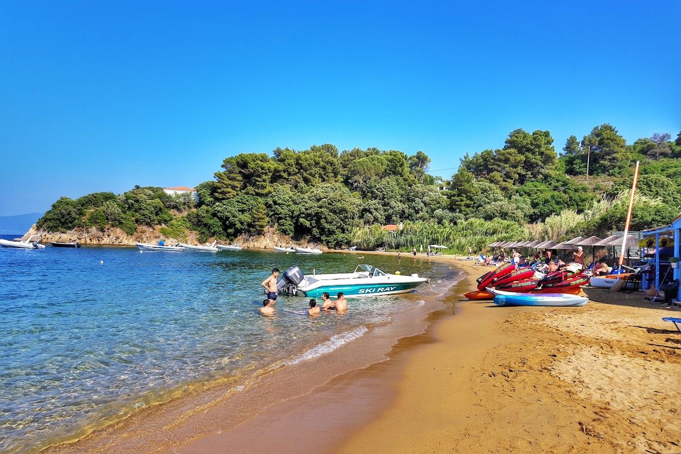 Pine backed bay and clear shallow water at Kanapitsa beach on Skiathos