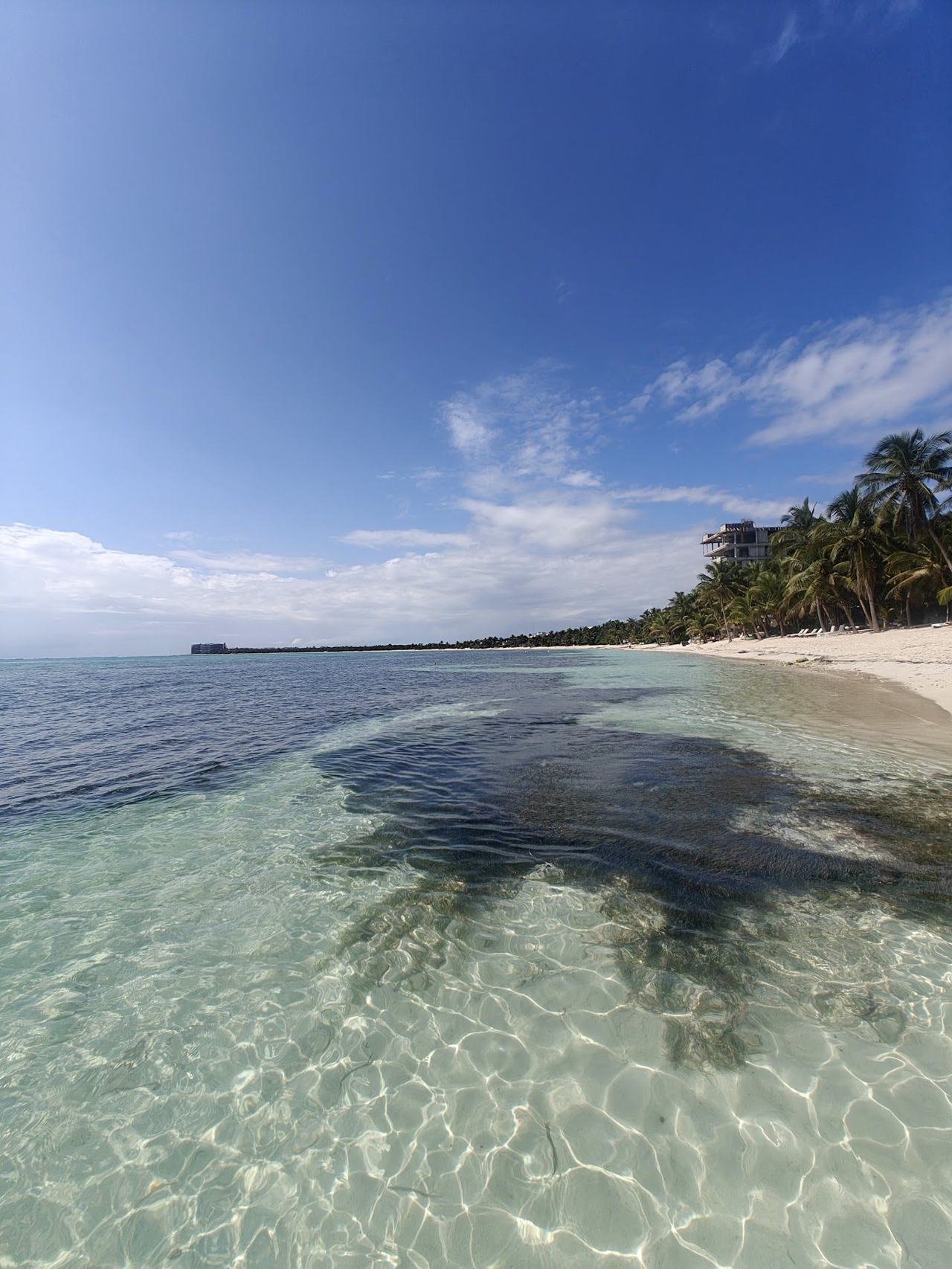 Soft white sand and mature palms along the sheltered cove at Soliman Bay