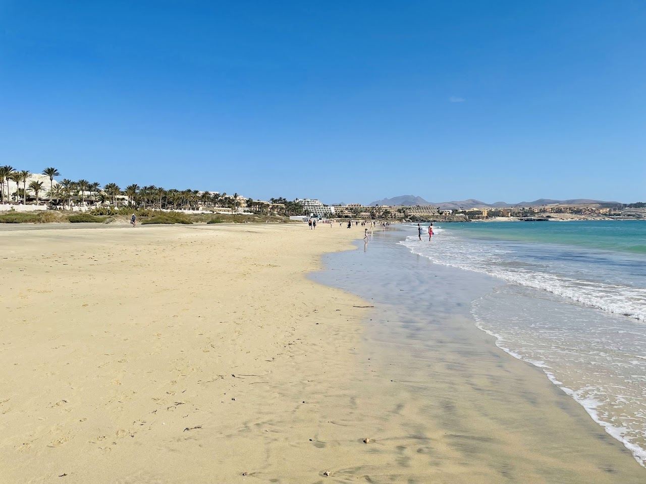 Vast pale beach and shallow turquoise tidal lagoon at Playa de Sotavento in Fuerteventura