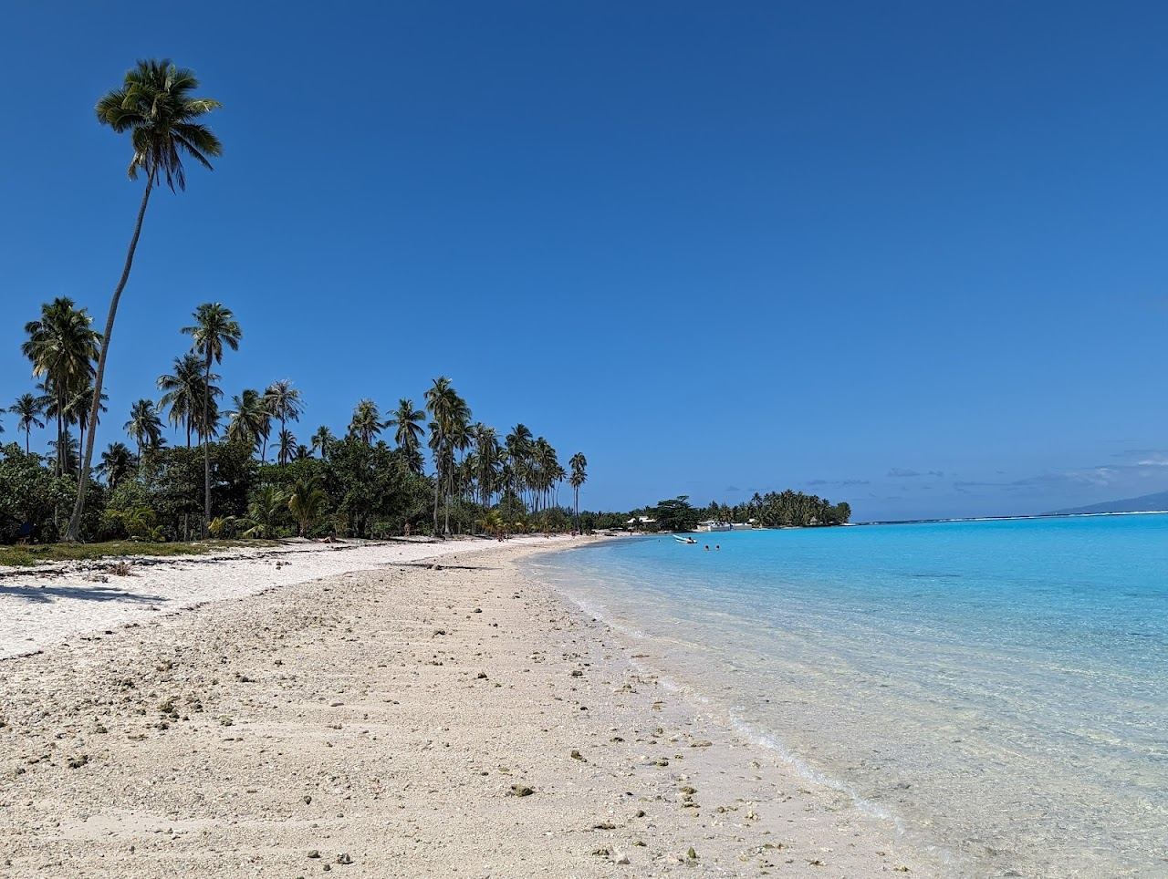 The white sand and lagoon of Temae Beach on Moorea with Tahiti beyond