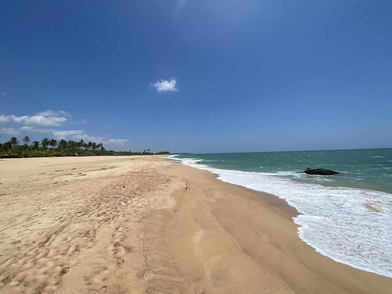 Wide pale dune backed sand at Marakolliya beach near Tangalle Sri Lanka