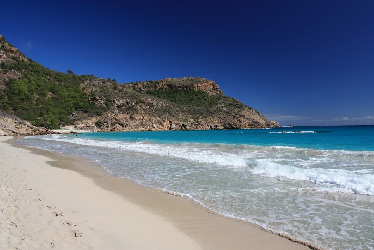 The wild pale sand and dune backed shore of Saline beach in St Barths