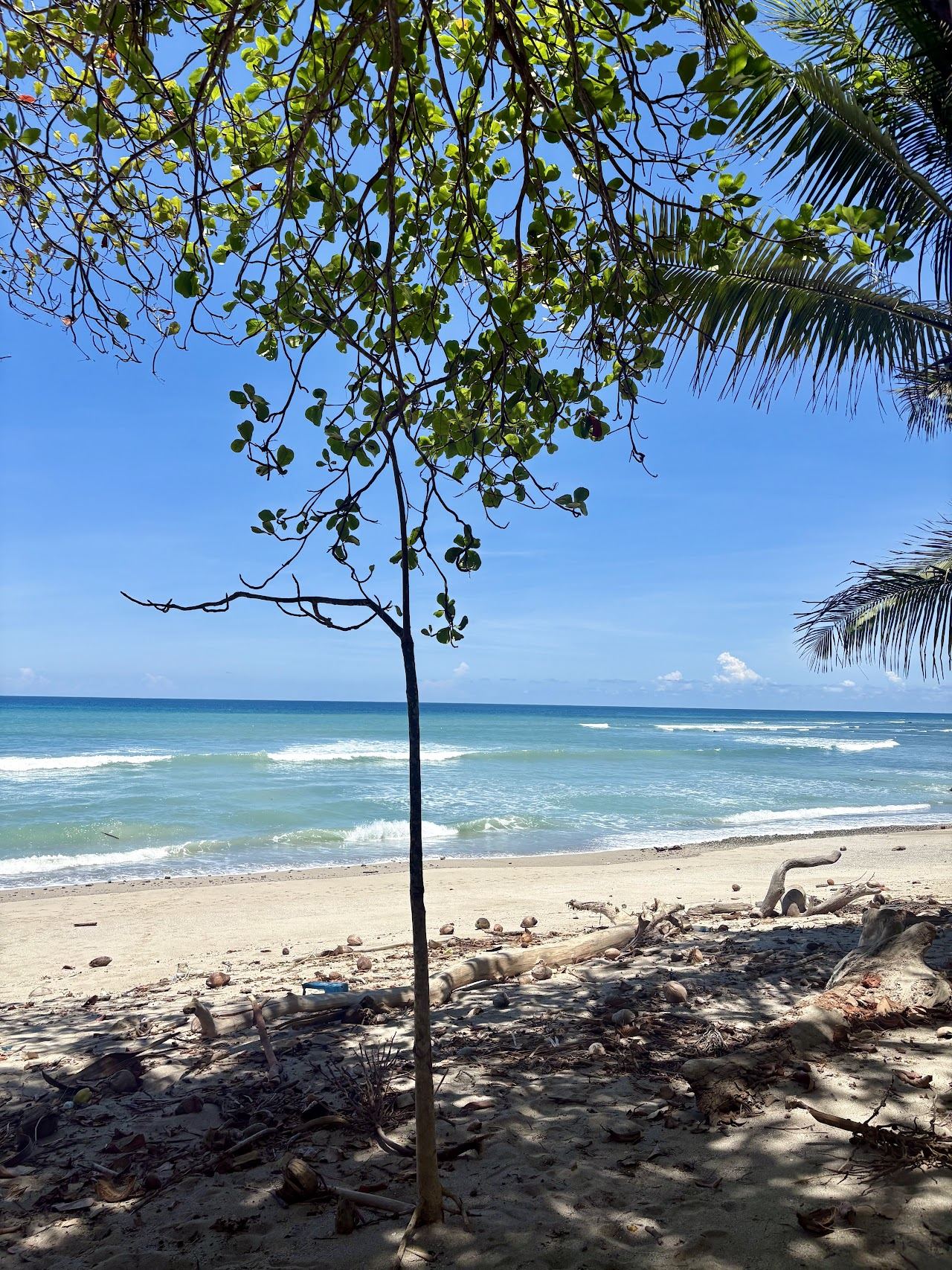 Rocky rural shore and quiet sea at Playa Cabuya near Montezuma Costa Rica