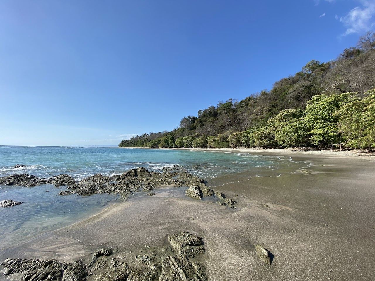 Quiet white sand and almond trees along the shore at Playa Manzanillo near Santa Teresa Costa Rica
