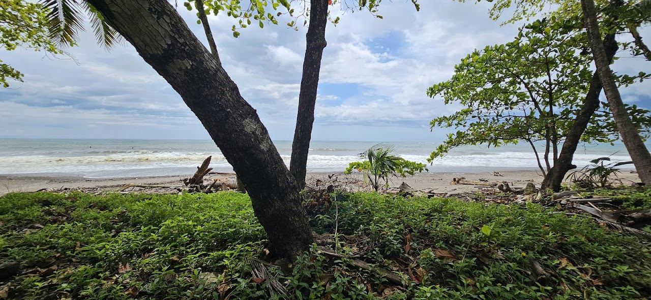 Long quiet beach and calm sea at Playa Manzanillo near Santa Teresa Costa Rica