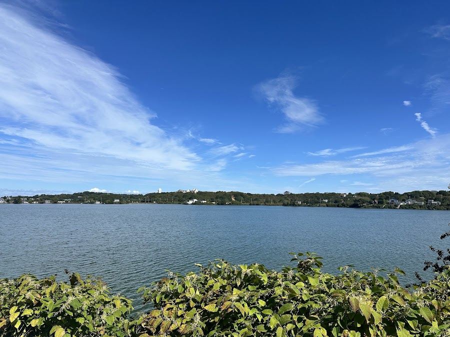 Calm water and reeds on Fort Pond in Montauk, the lake The Surf Lodge faces