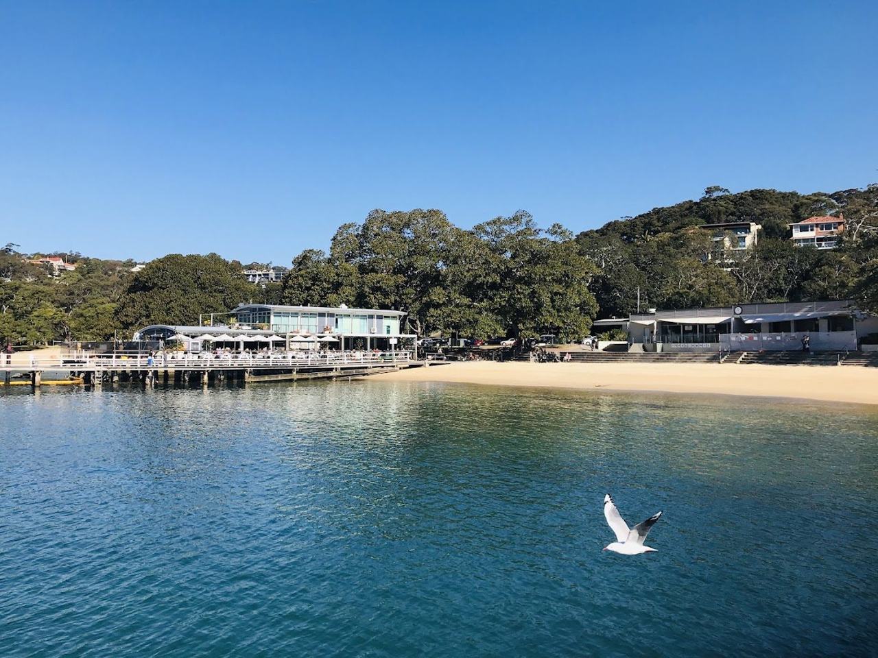 The calm sheltered harbour water and pale sand of Balmoral Beach at Mosman in Sydney