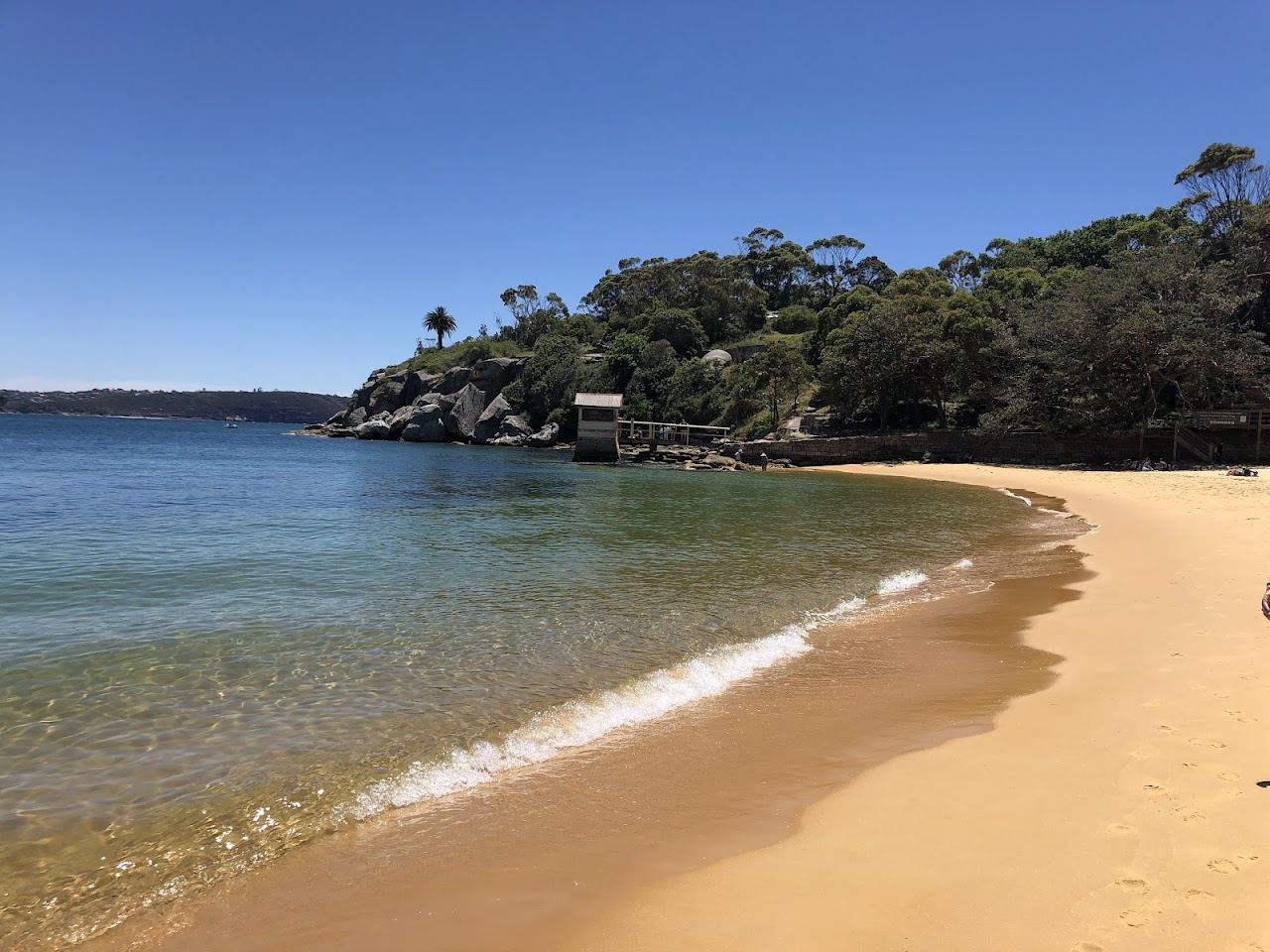Calm golden water at Camp Cove in Watsons Bay looking back toward the Sydney skyline at dusk