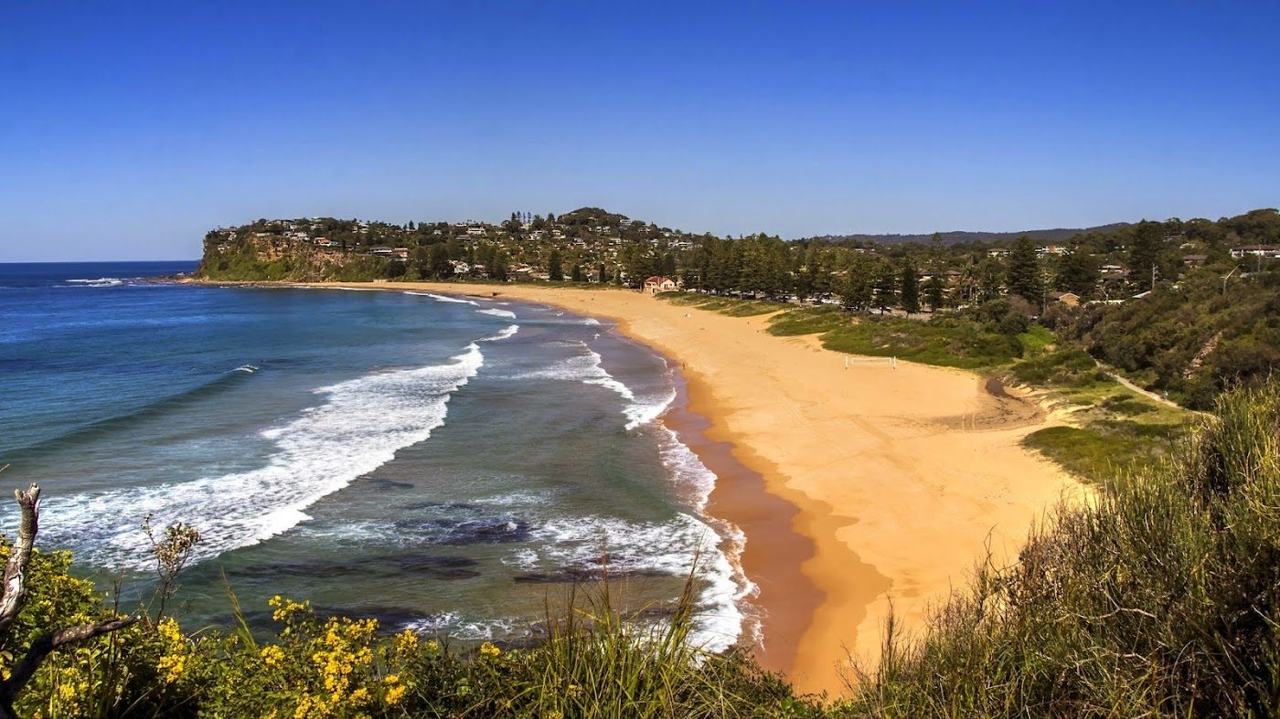 The long surf beach and ocean pool at Newport in Sydney