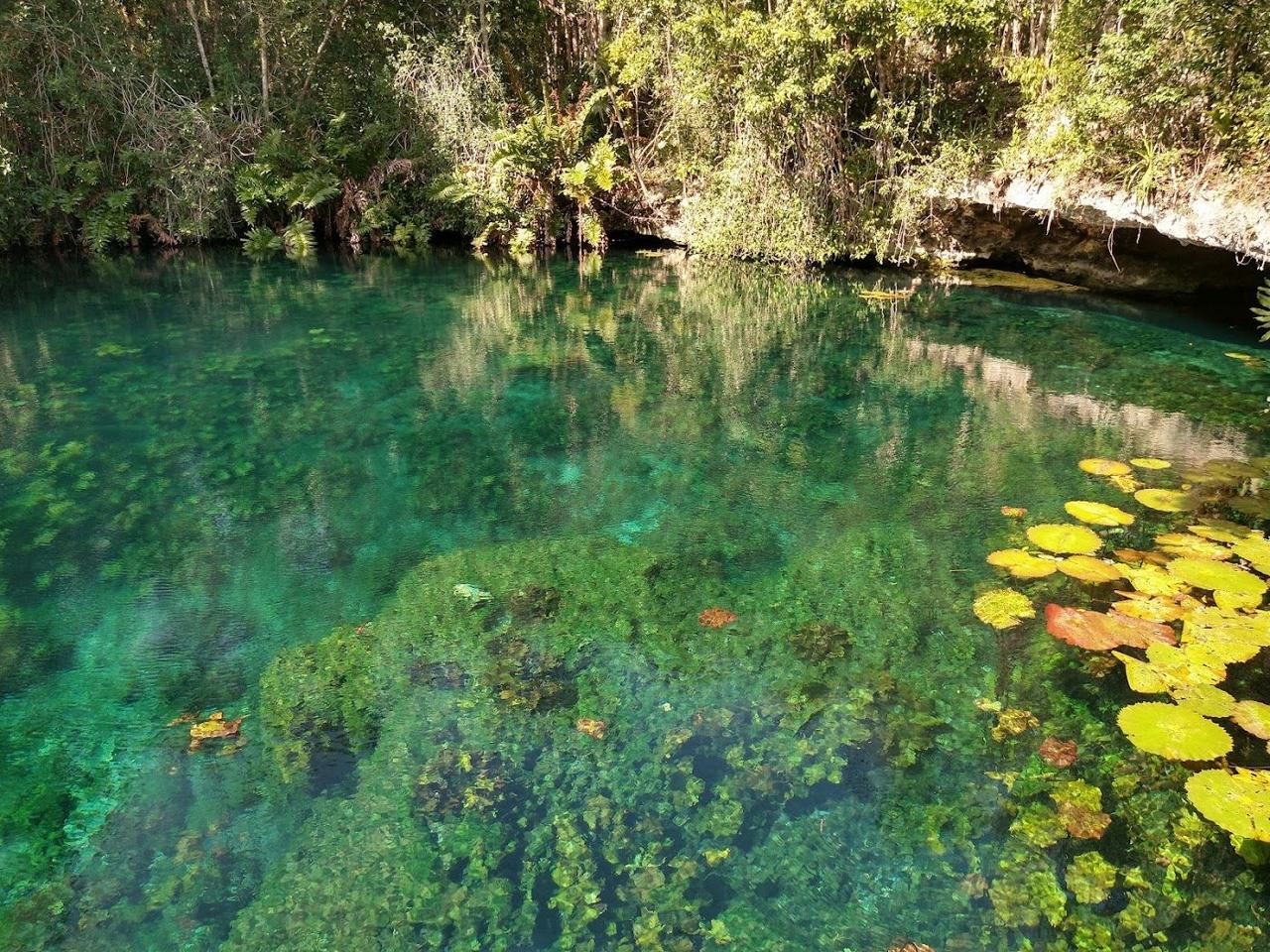 Calm reef sheltered turquoise water and a quiet cove at Tankah Bay north of Tulum