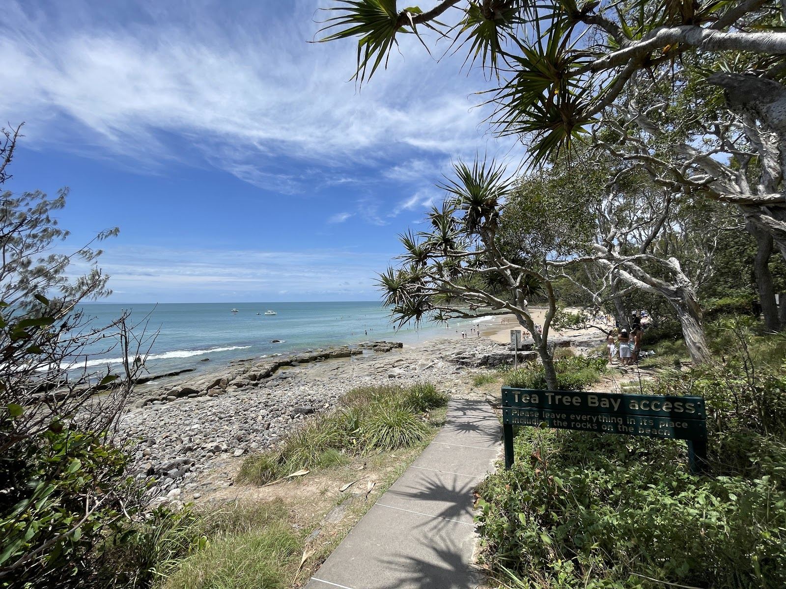 Pale sand, clear water and pandanus trees at the walk in cove of Tea Tree Bay in Noosa National Park