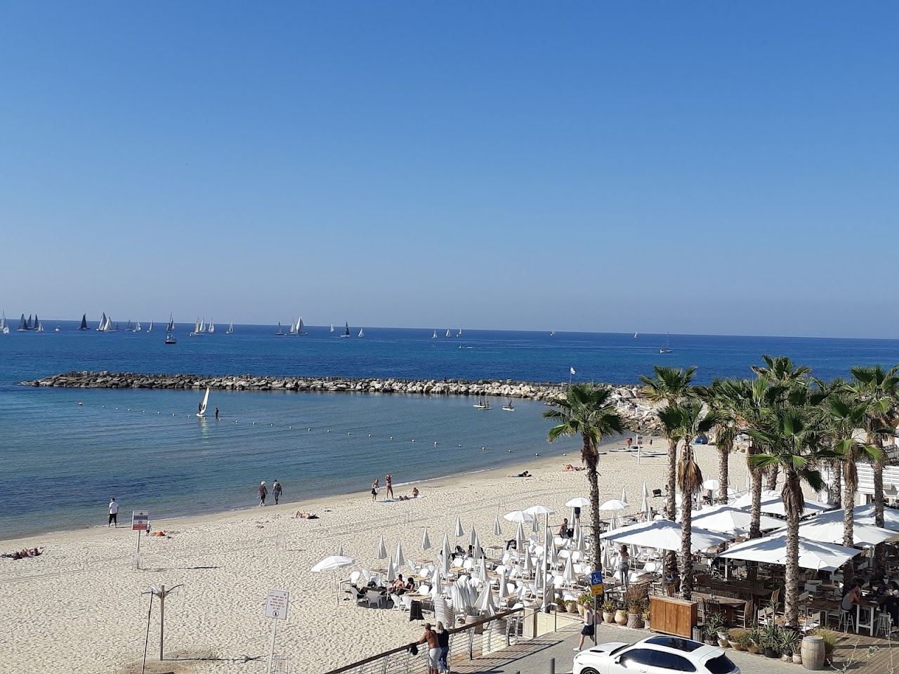 Hilton Beach in Tel Aviv with its curved stone breakwater, a windsurfer on the calm inner water and white parasols under the palms