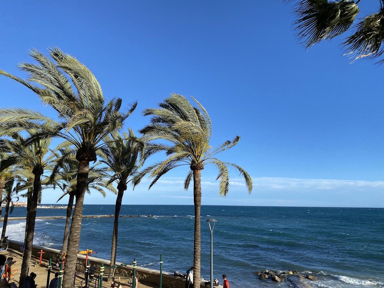 Dark golden sand and calm sea on Rio Real beach east of Marbella