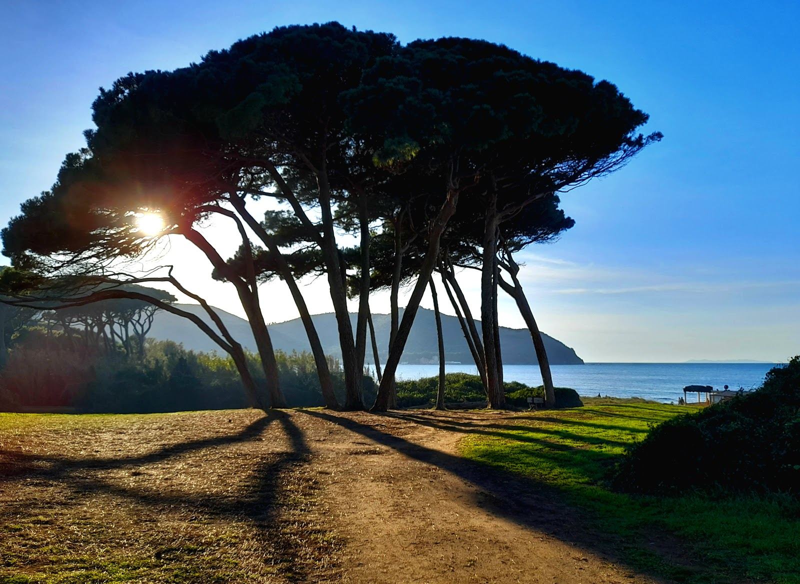 The pine fringed Gulf of Baratti glowing at golden hour on the Tuscany coast