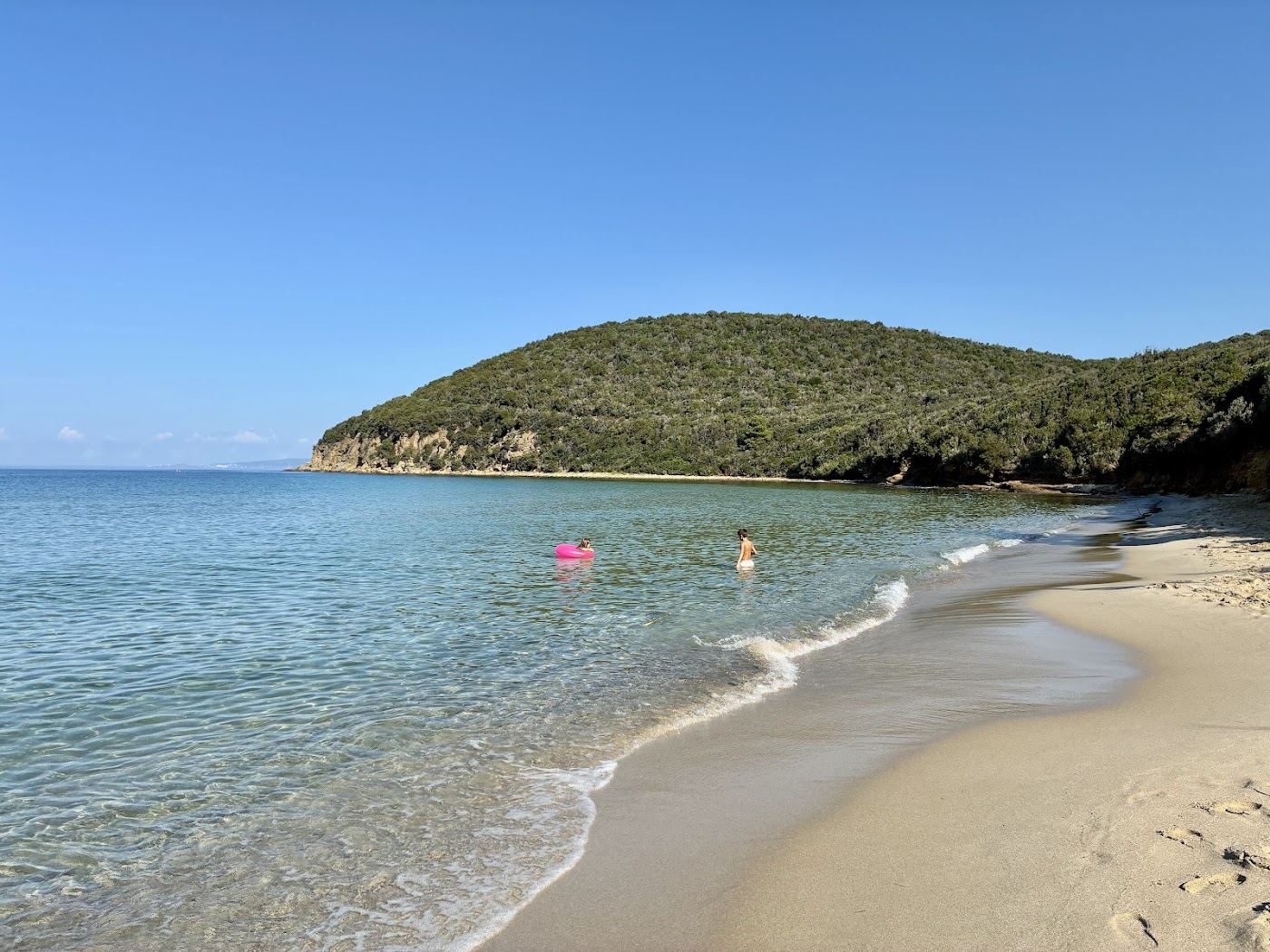 Clear water over rock and pale sand at a pine backed cove on the Tuscany coast