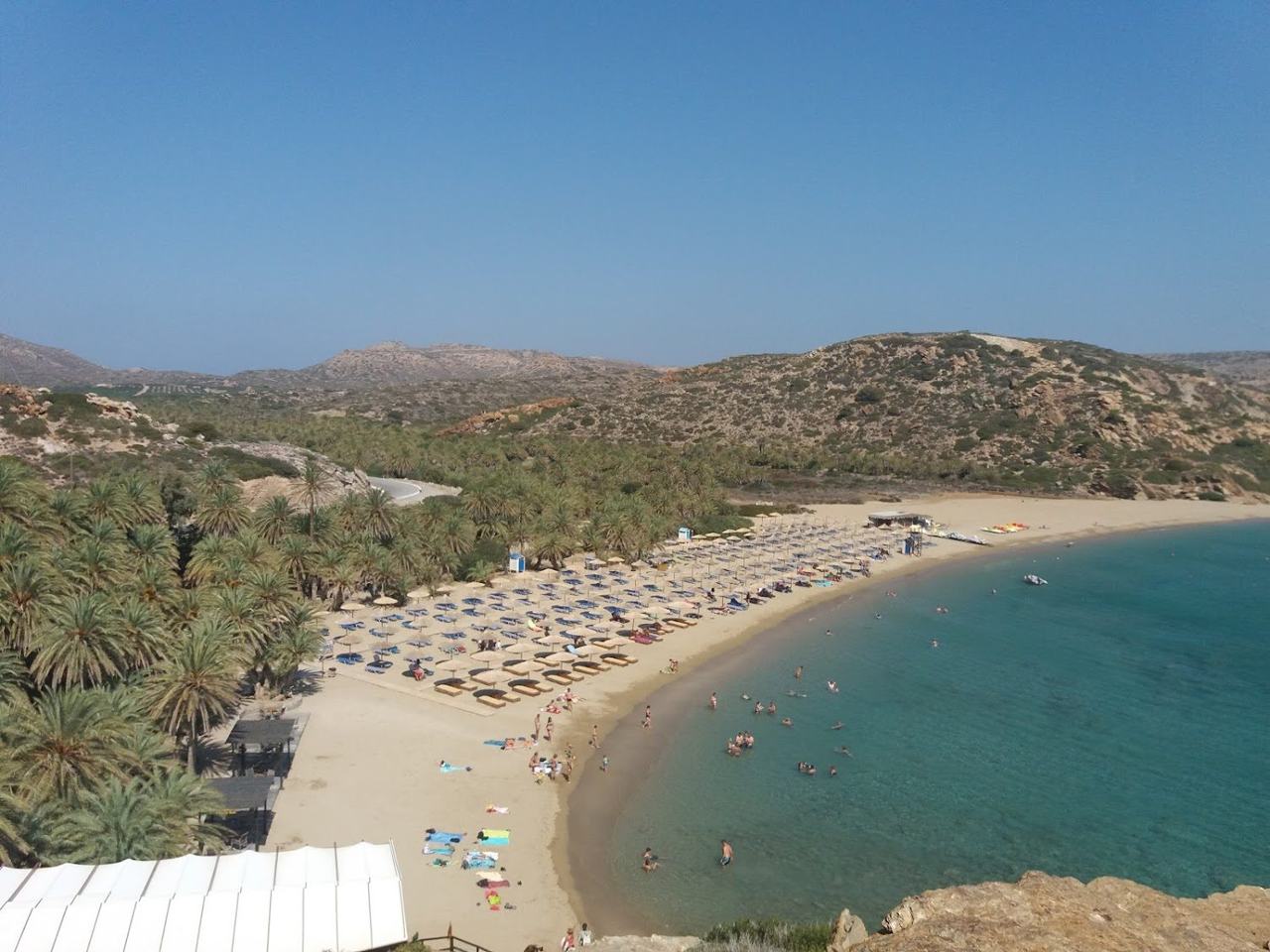 Palm trees behind the golden sand at Vai beach in eastern Crete