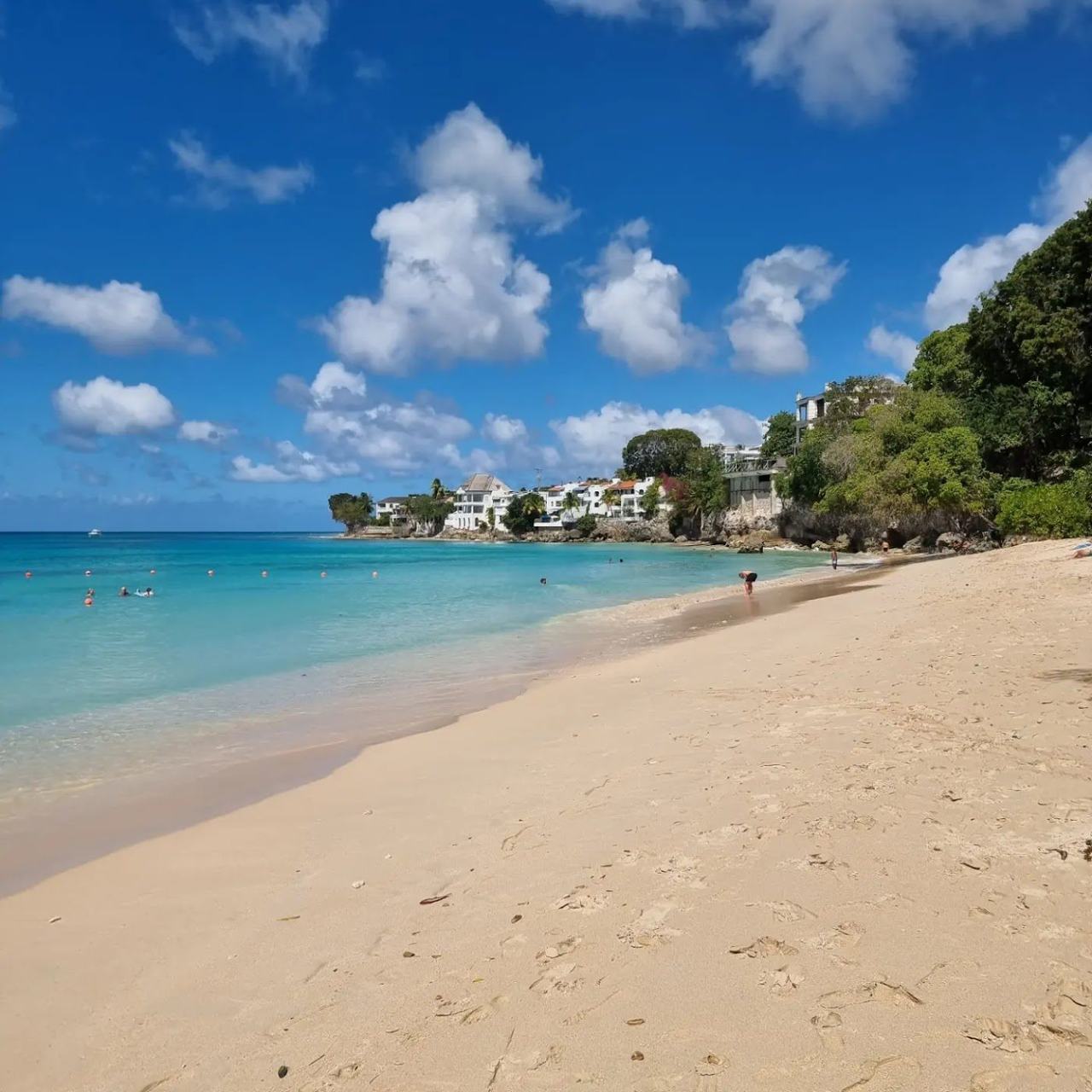 Calm warm turquoise water on the sheltered west coast of Barbados