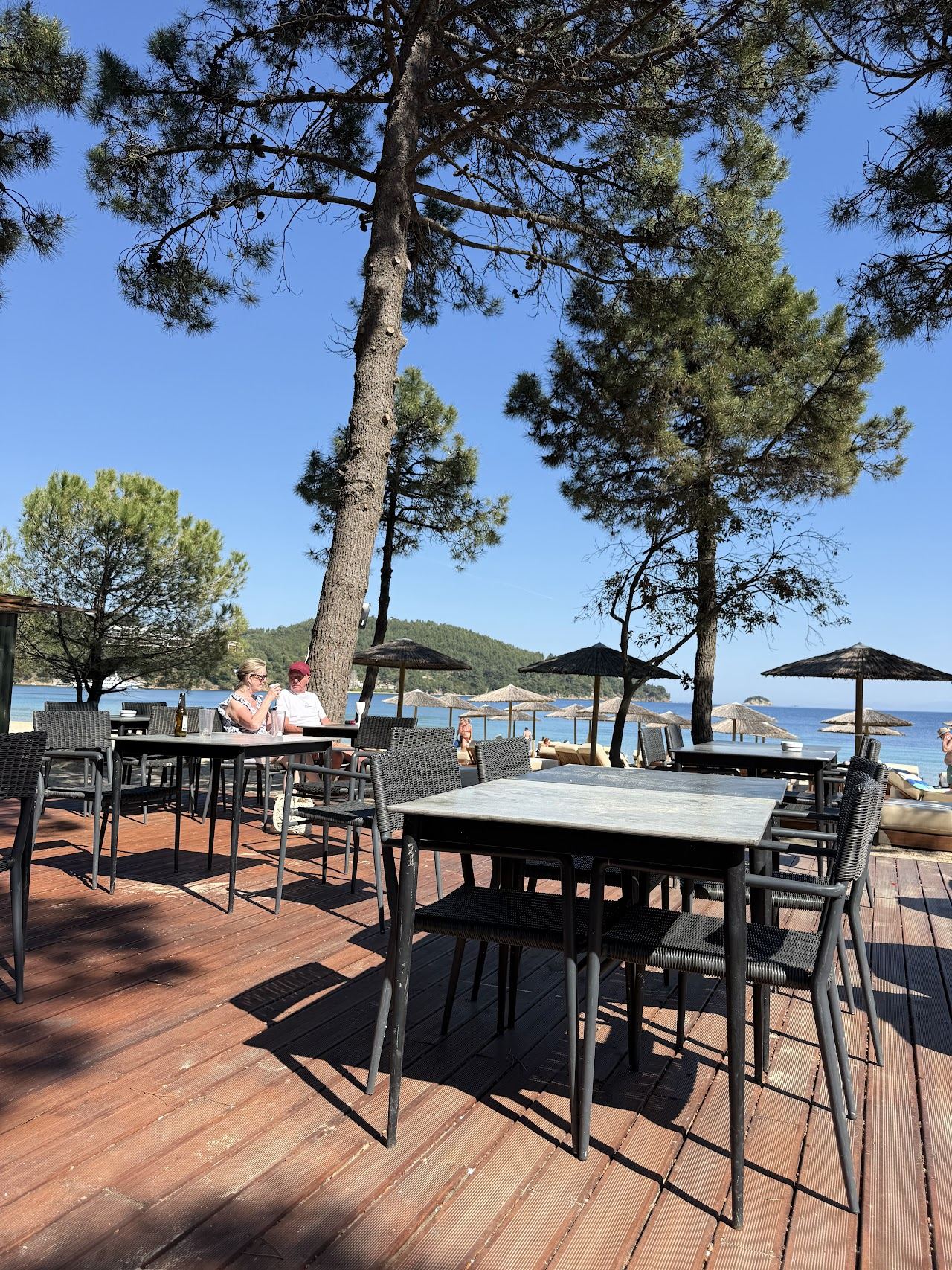 The pergola shaded terrace of Xenia Beach Bar beside the pines of Koukounaries beach on Skiathos