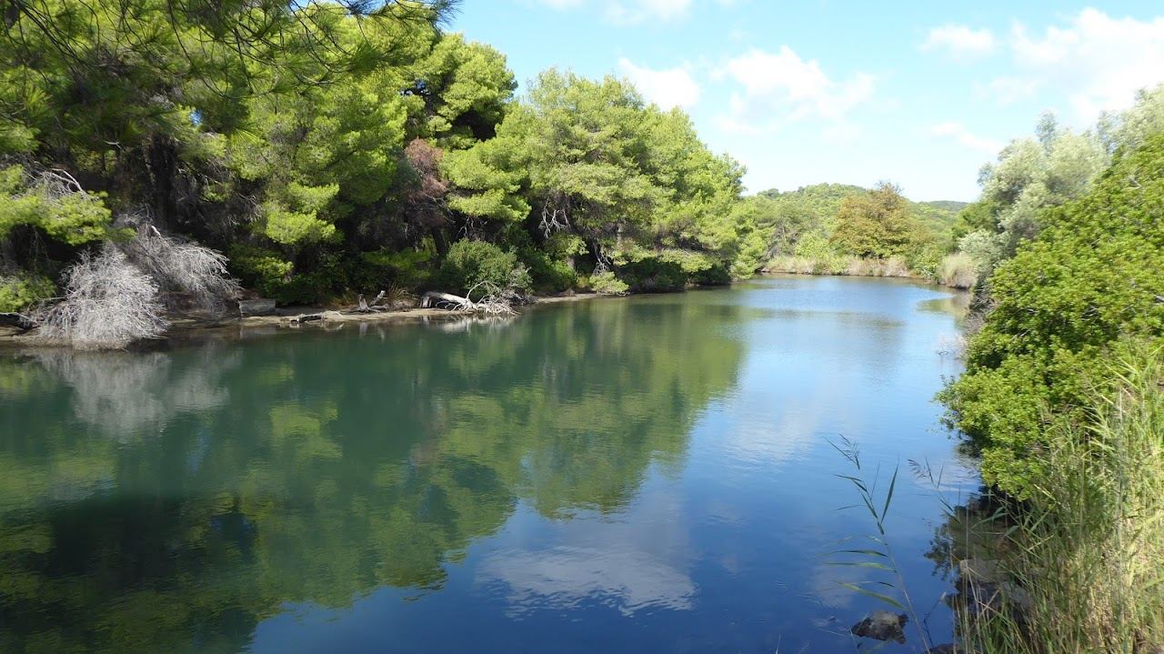 The still water and reed beds of Strofilia lake in the protected wetland behind Koukounaries beach